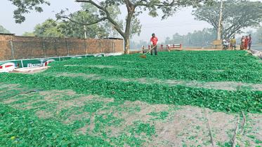 plastic-recycling-factory-1.jpg