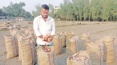 potato-farmers-1.jpg