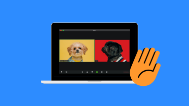 zoom_hand_gesture_on_desktop_apps.png