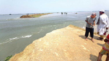 halir-haor.jpg