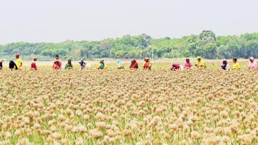 gobindapur-village-1.jpg