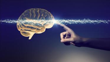 brain.jpg