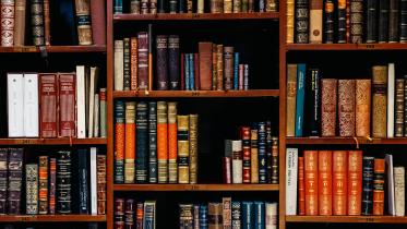Building a career in academia