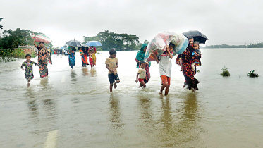 flood.jpg