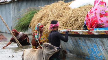 kurigram_flood_fodder-01.jpg