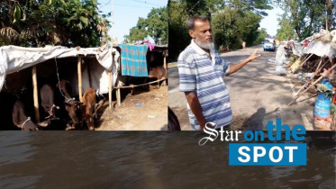 star_on_the_spot_sujan_web.jpg