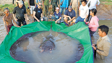 fishwater.jpg