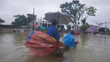 Flood-2022.jpeg