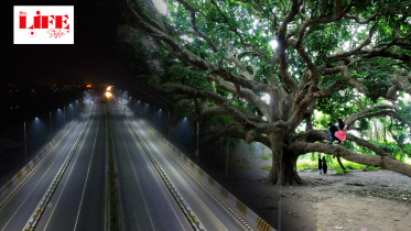 lifestyle-thumbnail-web.jpg