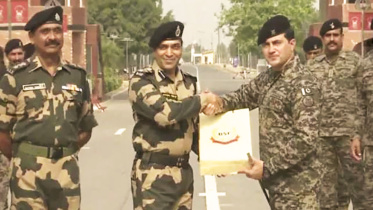 mishti3.jpg