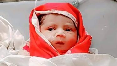 newborn