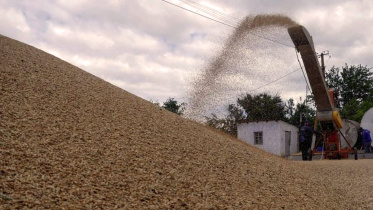 grains.jpg