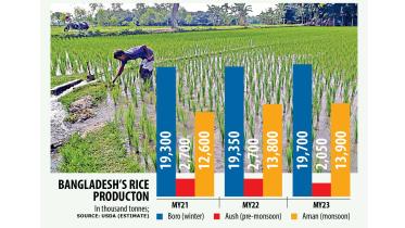 rice-chart.jpg