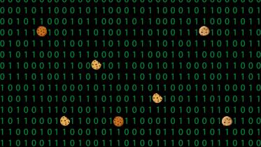 What are browser cookies