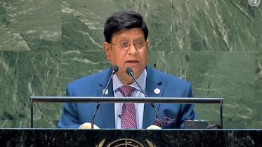 momen-web.jpg