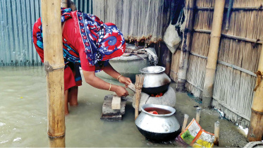 flood.jpg