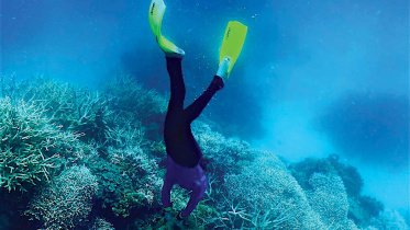 coral.jpg