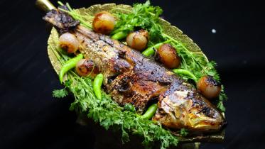 Fabulous fish recipes for your table