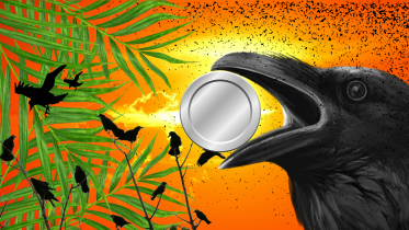 crow.png