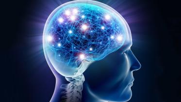 How to improve brain function?