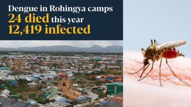 dengue.jpg