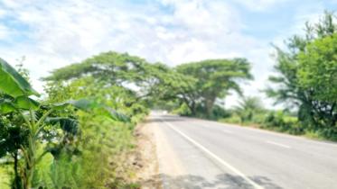 Bhanga-Jashore-Benapole Highway