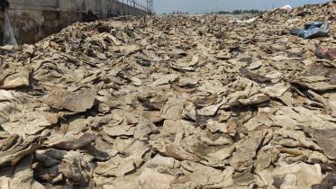 wastes-of-leather-1.jpg