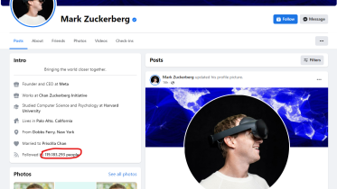 mz_fb_followers.png
