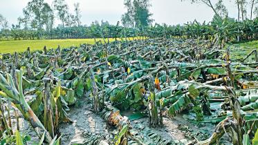 cyclone-sitrang-1.jpg