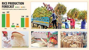 rice-production.jpg