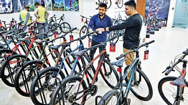 bicycle-exports.jpg
