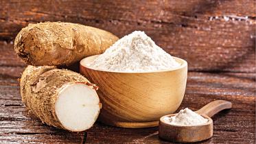 cassava-farmers.jpg