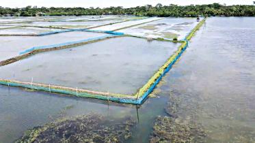 bagerhat.jpg
