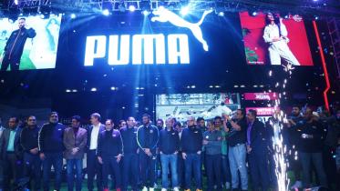 puma.jpg