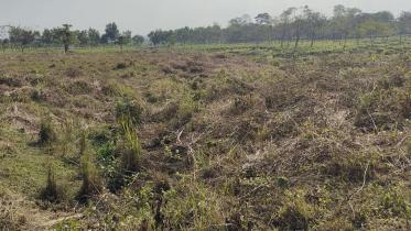 moulvibazar-1.jpg