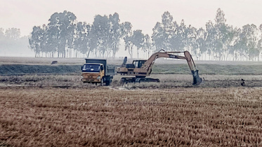 habiganj-cropland.jpg