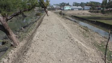 expense-of-mangroves-1.jpg