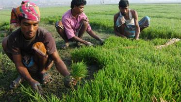 GDP growth of Bangladesh in FY25