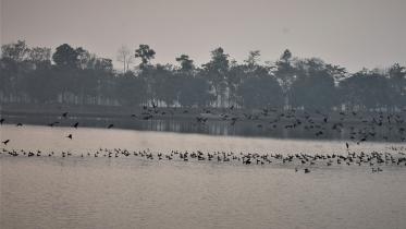 nilsagar.jpg