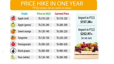 fruits_price_graph.jpg