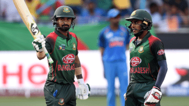 liton-miraz.gif