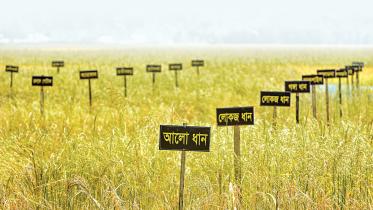 khulna.jpg