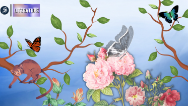 illustrations_new_1_2.png