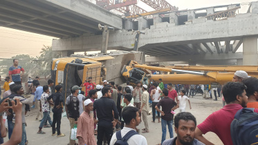 brt_crane-web.jpg