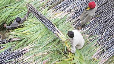 indian-sugar.jpg
