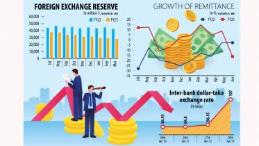 forex reserves