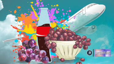 literature_web_illustrations_2.png