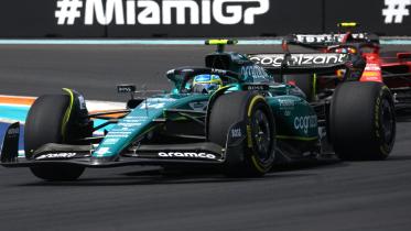 f1.jpg