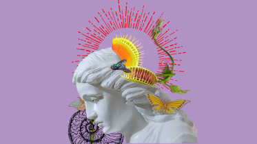 e_n.png