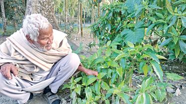 lalmonirhat-language-hero.jpg
